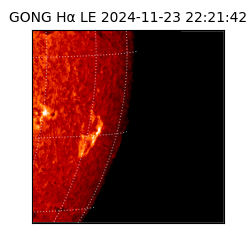 gong - 2024-11-23T22:21:42