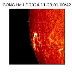 gong - 2024-11-23T01:00:42
