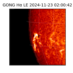 gong - 2024-11-23T02:00:42