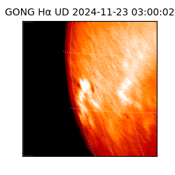 gong - 2024-11-23T03:00:02