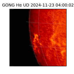 gong - 2024-11-23T04:00:02