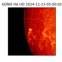 gong - 2024-11-23T05:00:02