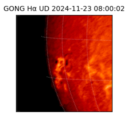 gong - 2024-11-23T08:00:02