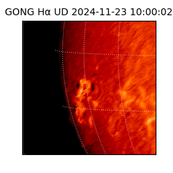 gong - 2024-11-23T10:00:02