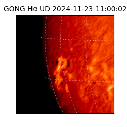 gong - 2024-11-23T11:00:02