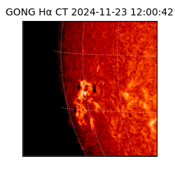gong - 2024-11-23T12:00:42