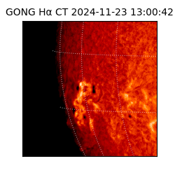 gong - 2024-11-23T13:00:42
