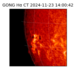 gong - 2024-11-23T14:00:42