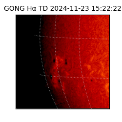 gong - 2024-11-23T15:22:22