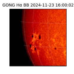gong - 2024-11-23T16:00:02