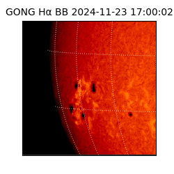 gong - 2024-11-23T17:00:02