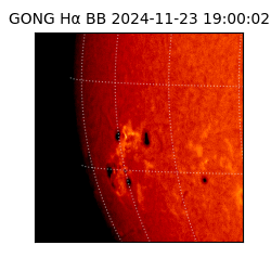 gong - 2024-11-23T19:00:02