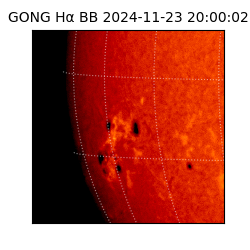 gong - 2024-11-23T20:00:02