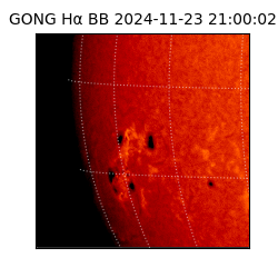 gong - 2024-11-23T21:00:02