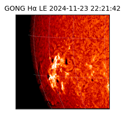 gong - 2024-11-23T22:21:42