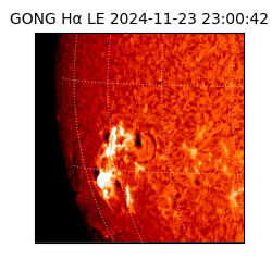 gong - 2024-11-23T23:00:42