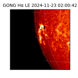gong - 2024-11-23T02:00:42