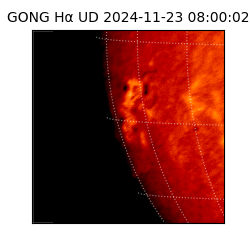 gong - 2024-11-23T08:00:02