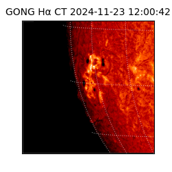 gong - 2024-11-23T12:00:42