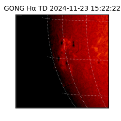 gong - 2024-11-23T15:22:22