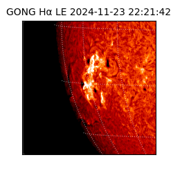 gong - 2024-11-23T22:21:42