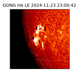 gong - 2024-11-23T23:00:42