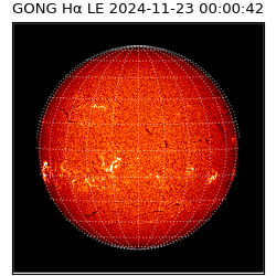 gong - 2024-11-23T00:00:42