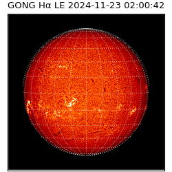 gong - 2024-11-23T02:00:42