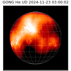 gong - 2024-11-23T03:00:02