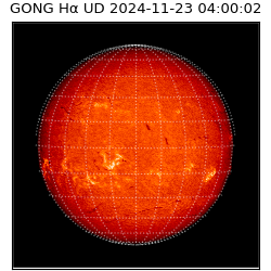 gong - 2024-11-23T04:00:02