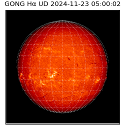 gong - 2024-11-23T05:00:02