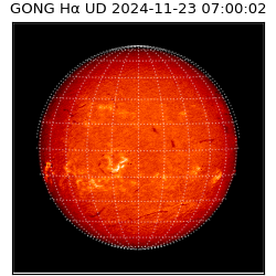 gong - 2024-11-23T07:00:02