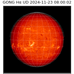 gong - 2024-11-23T08:00:02