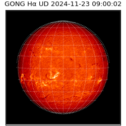 gong - 2024-11-23T09:00:02