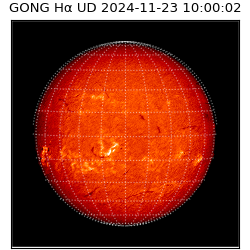 gong - 2024-11-23T10:00:02