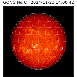 gong - 2024-11-23T14:00:42