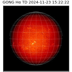gong - 2024-11-23T15:22:22