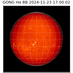 gong - 2024-11-23T17:00:02