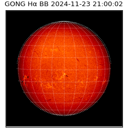 gong - 2024-11-23T21:00:02