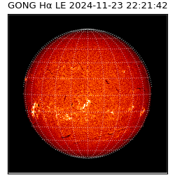 gong - 2024-11-23T22:21:42