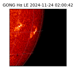 gong - 2024-11-24T02:00:42