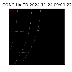 gong - 2024-11-24T09:01:22