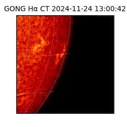 gong - 2024-11-24T13:00:42