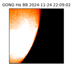 gong - 2024-11-24T22:09:02