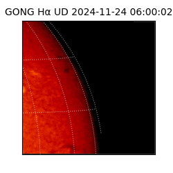 gong - 2024-11-24T06:00:02