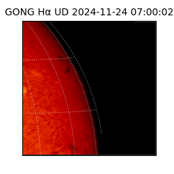 gong - 2024-11-24T07:00:02