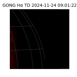 gong - 2024-11-24T09:01:22