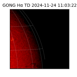 gong - 2024-11-24T11:03:22