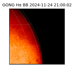 gong - 2024-11-24T21:00:02