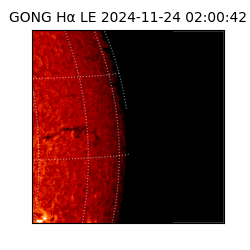 gong - 2024-11-24T02:00:42